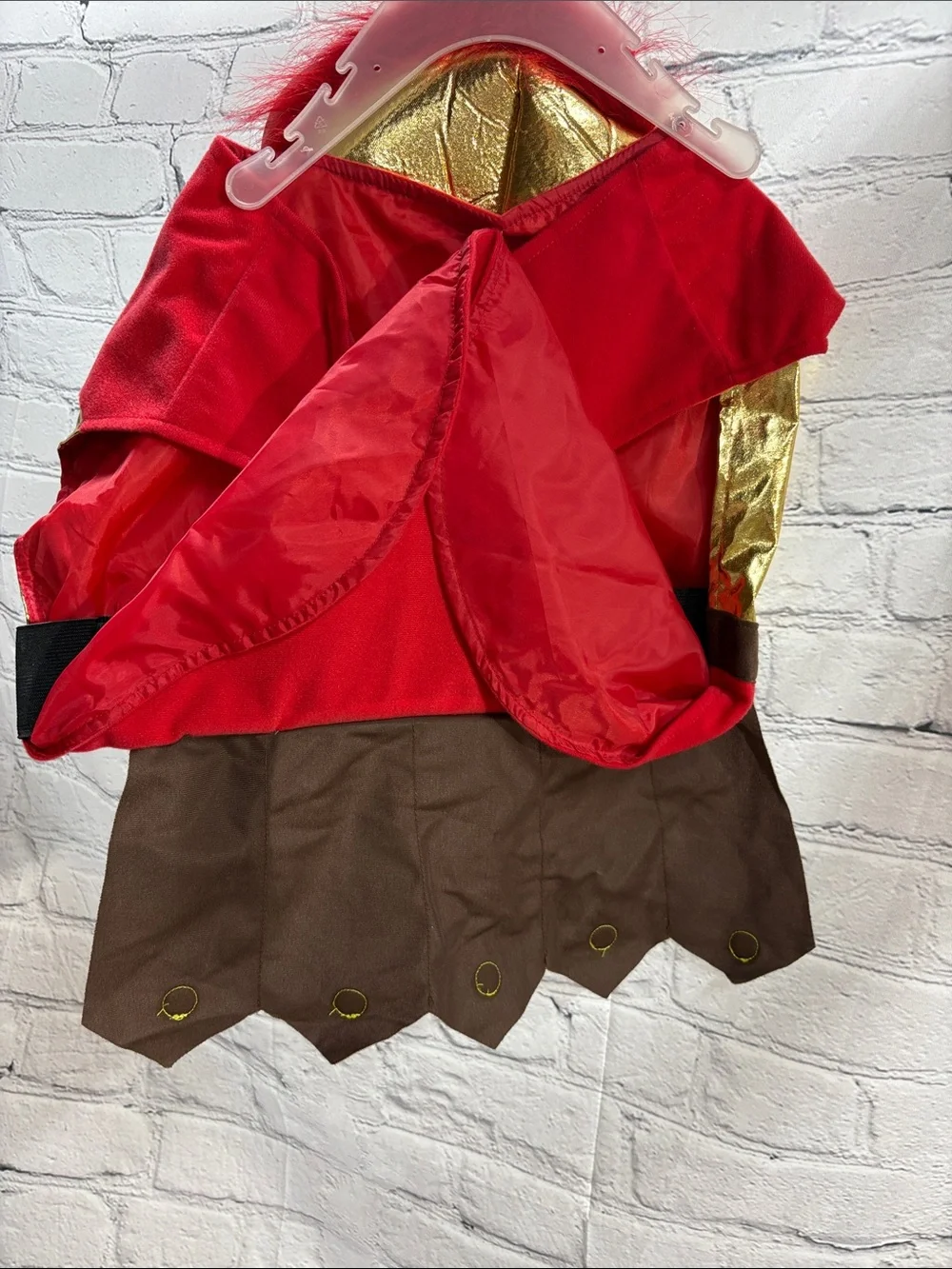 Vibrant Life Red & Gold Gladiator Pet Costume - Large